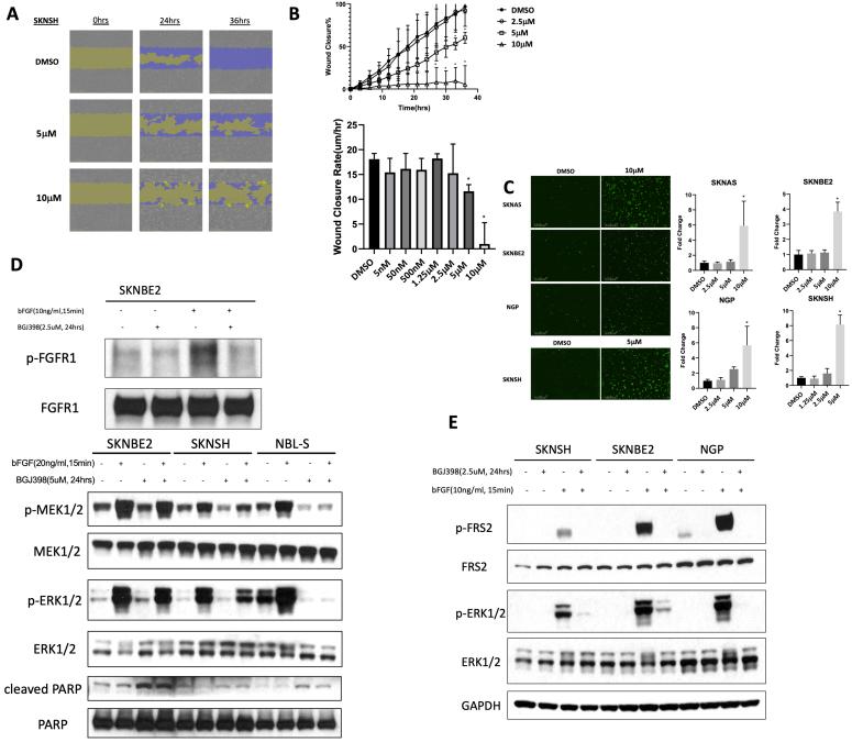 https://cdn.ncbi.nlm.nih.gov/pmc/blobs/508c/12159601/e350de090e70/cdr-8-28.fig.8.jpg