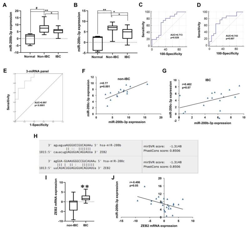 https://cdn.ncbi.nlm.nih.gov/pmc/blobs/5091/7407124/093984df87e7/biomolecules-10-01059-g004.jpg