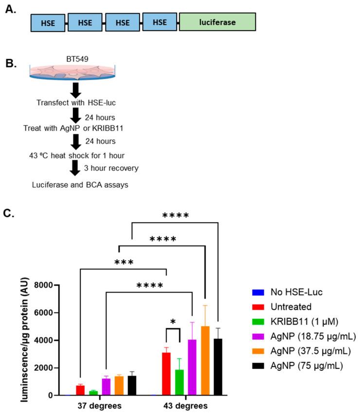 https://cdn.ncbi.nlm.nih.gov/pmc/blobs/5092/11477547/b20bae61526d/nanomaterials-14-01564-g002.jpg