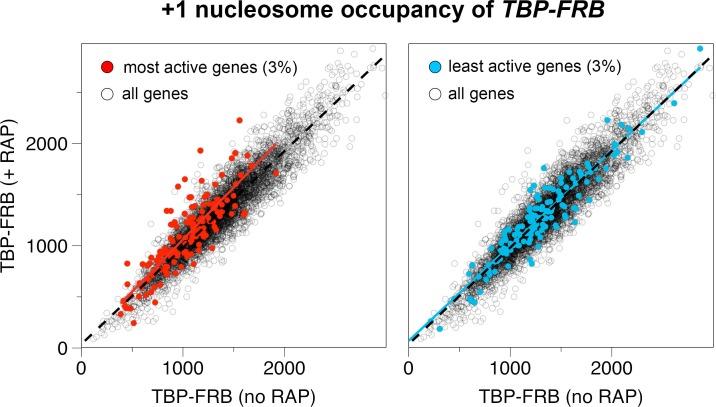https://cdn.ncbi.nlm.nih.gov/pmc/blobs/509c/4995100/094c31f5fca2/elife-14243-fig1-figsupp10.jpg