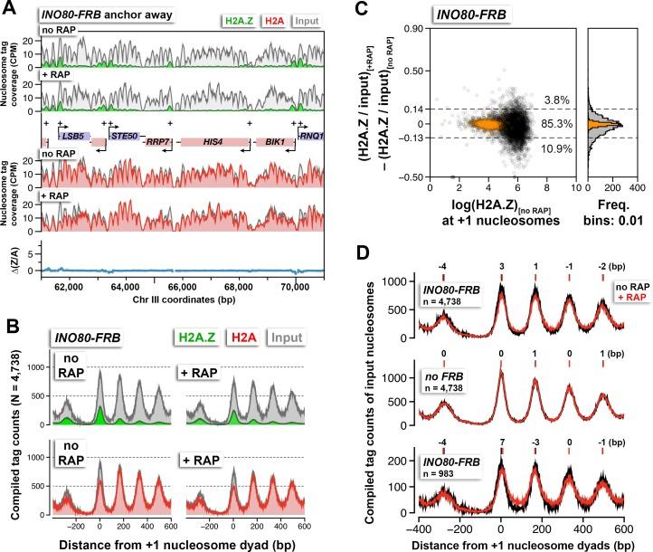 https://cdn.ncbi.nlm.nih.gov/pmc/blobs/509c/4995100/6591d5293e1c/elife-14243-fig4.jpg