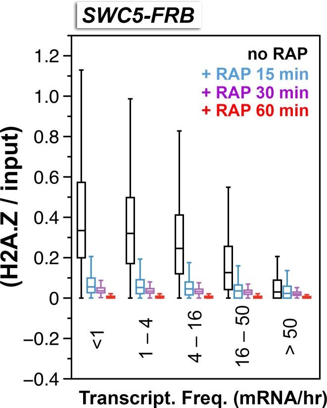 https://cdn.ncbi.nlm.nih.gov/pmc/blobs/509c/4995100/aefb84cff399/elife-14243-fig3-figsupp2.jpg