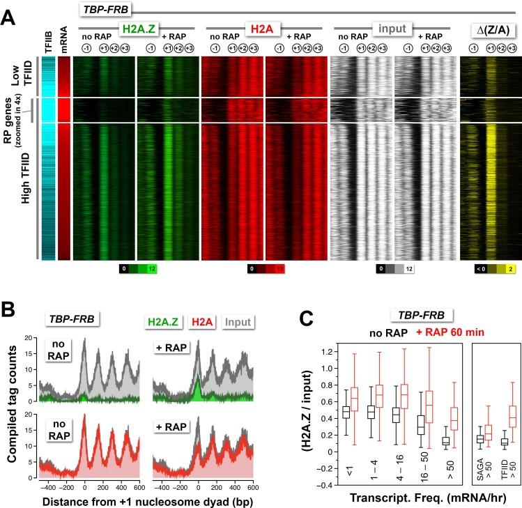 https://cdn.ncbi.nlm.nih.gov/pmc/blobs/509c/4995100/c34607c58ba7/elife-14243-fig2.jpg