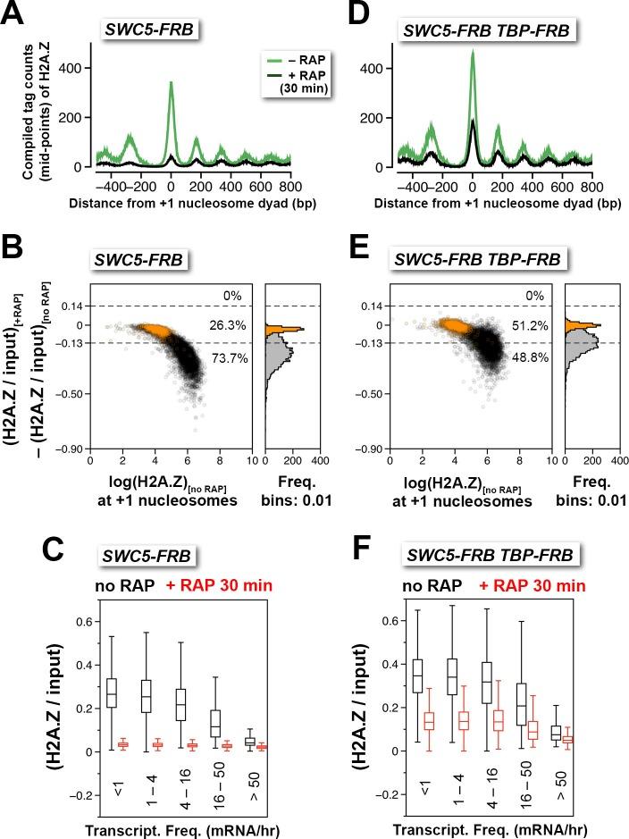 https://cdn.ncbi.nlm.nih.gov/pmc/blobs/509c/4995100/ddd98382abcb/elife-14243-fig3.jpg
