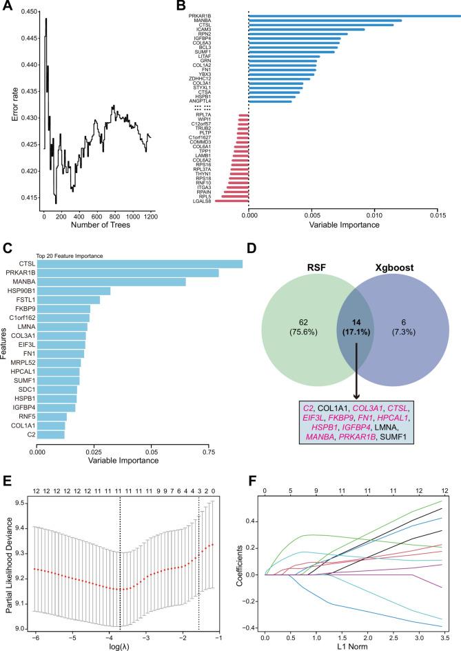https://cdn.ncbi.nlm.nih.gov/pmc/blobs/50a8/11862013/022b1c60877c/41598_2025_91038_Fig3_HTML.jpg