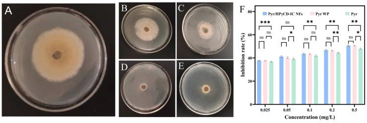 https://cdn.ncbi.nlm.nih.gov/pmc/blobs/50ba/11990441/8cf58648cd69/molecules-30-01456-g009.jpg