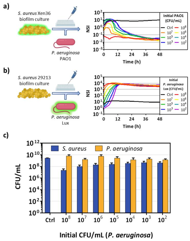 https://cdn.ncbi.nlm.nih.gov/pmc/blobs/50e2/11561256/086050065686/41598_2024_79573_Fig2_HTML.jpg