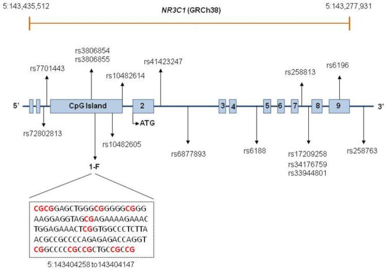 https://cdn.ncbi.nlm.nih.gov/pmc/blobs/50f3/10530687/e156605a826f/genes-14-01805-g001.jpg