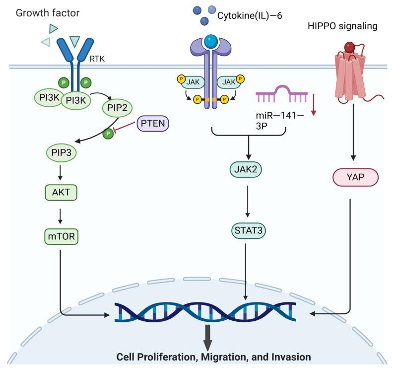 https://cdn.ncbi.nlm.nih.gov/pmc/blobs/50f9/11591984/77769a90c3be/biomolecules-14-01402-g003.jpg