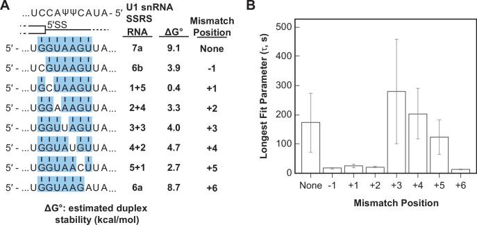 https://cdn.ncbi.nlm.nih.gov/pmc/blobs/510e/9436412/10957c7aa8d7/elife-70534-fig5.jpg