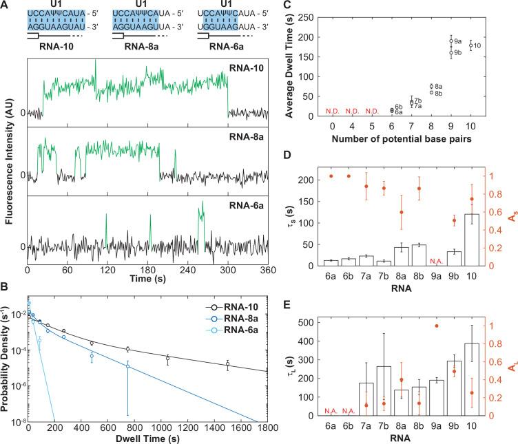 https://cdn.ncbi.nlm.nih.gov/pmc/blobs/510e/9436412/32e4f9896e4a/elife-70534-fig3.jpg