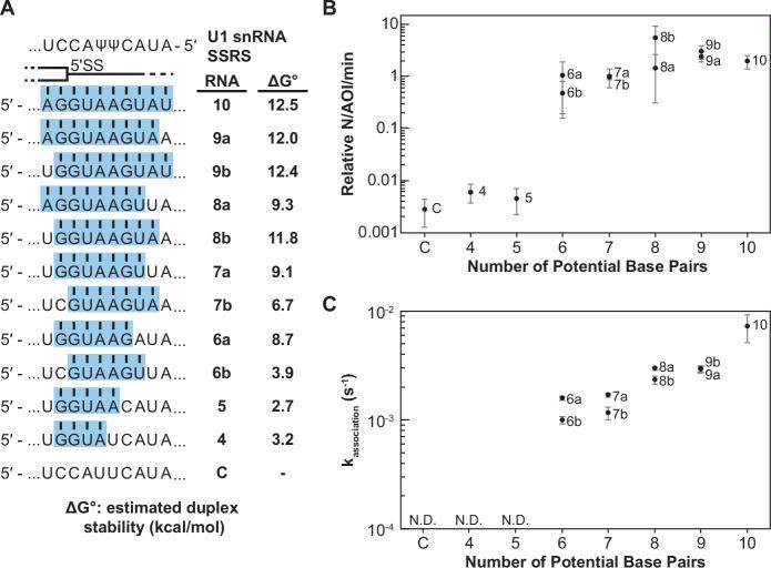 https://cdn.ncbi.nlm.nih.gov/pmc/blobs/510e/9436412/567522d2e8a0/elife-70534-fig2.jpg