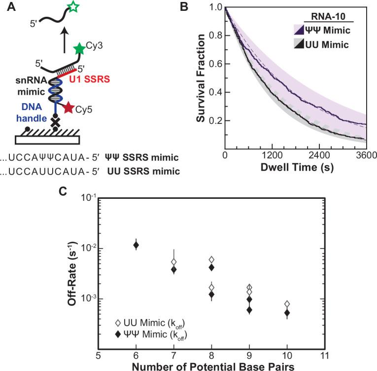 https://cdn.ncbi.nlm.nih.gov/pmc/blobs/510e/9436412/a1f7aec13a05/elife-70534-fig4.jpg