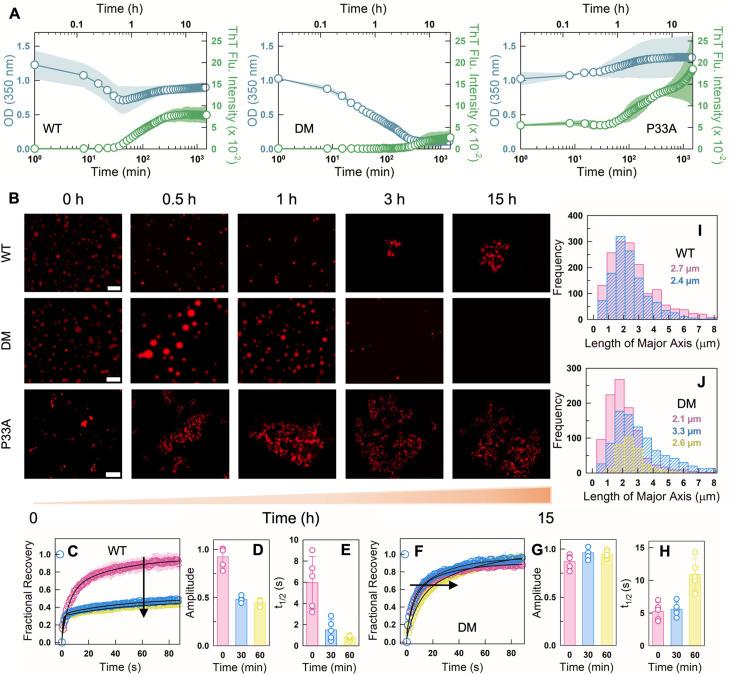 https://cdn.ncbi.nlm.nih.gov/pmc/blobs/511a/12259020/f190c7904c20/elife-105461-fig3.jpg
