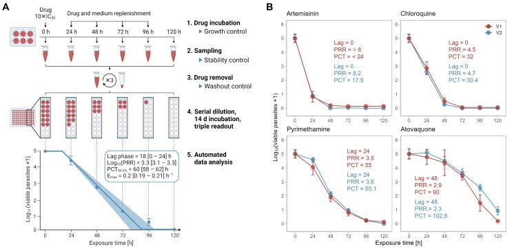 https://cdn.ncbi.nlm.nih.gov/pmc/blobs/511d/9959027/a18e0e959567/pharmaceuticals-16-00163-g002.jpg