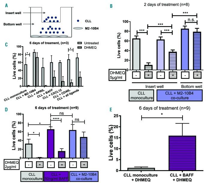 https://cdn.ncbi.nlm.nih.gov/pmc/blobs/5134/5777201/5c84f2455b45/103136.fig5.jpg