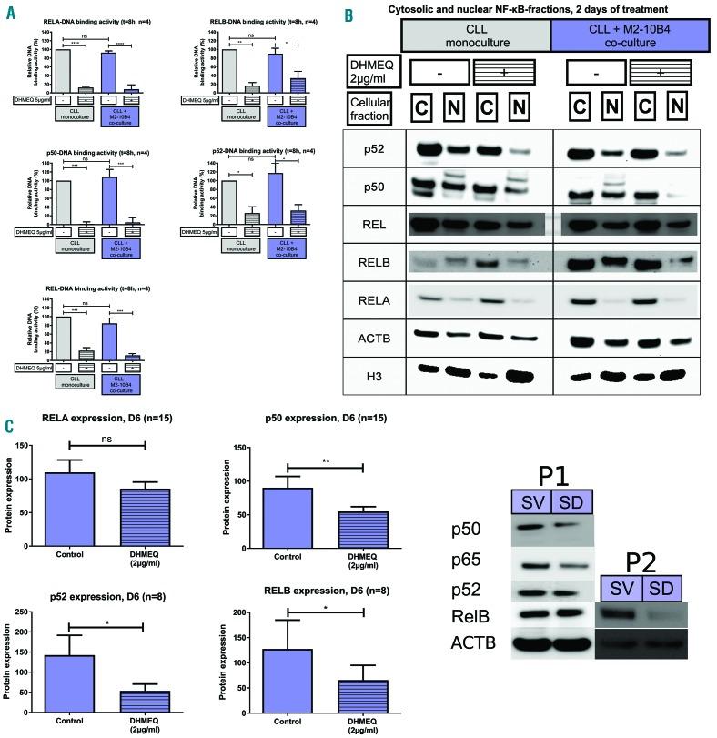https://cdn.ncbi.nlm.nih.gov/pmc/blobs/5134/5777201/d7a6c1fa8718/103136.fig3.jpg