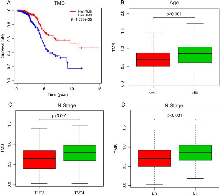 https://cdn.ncbi.nlm.nih.gov/pmc/blobs/5143/8606726/53fecea79d26/10.1177_15330338211052154-fig3.jpg