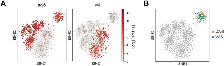 https://cdn.ncbi.nlm.nih.gov/pmc/blobs/5145/7870145/178a12a014c4/elife-63450-fig4-figsupp2.jpg