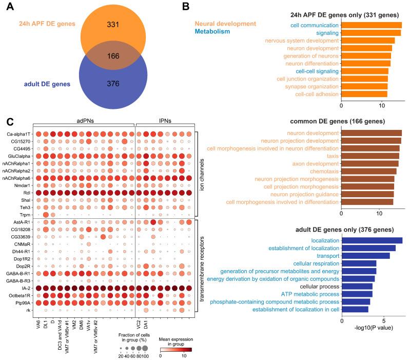 https://cdn.ncbi.nlm.nih.gov/pmc/blobs/5145/7870145/4747a2b69585/elife-63450-fig10.jpg