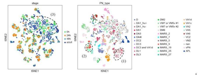 https://cdn.ncbi.nlm.nih.gov/pmc/blobs/5145/7870145/c0b65cce2bf4/elife-63450-resp-fig1.jpg