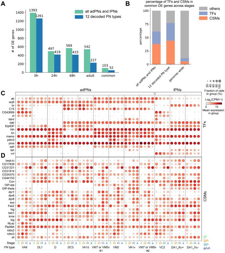 https://cdn.ncbi.nlm.nih.gov/pmc/blobs/5145/7870145/f8d189052a4d/elife-63450-fig9.jpg