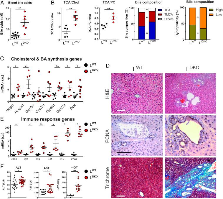https://cdn.ncbi.nlm.nih.gov/pmc/blobs/5155/7368313/393a7b0bfac0/pnas.2002672117fig01.jpg