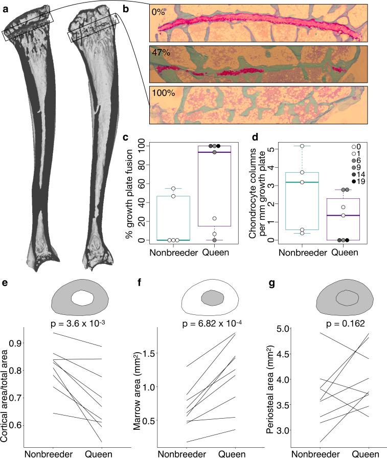 https://cdn.ncbi.nlm.nih.gov/pmc/blobs/5168/8104968/67720f3503ec/elife-65760-fig3.jpg