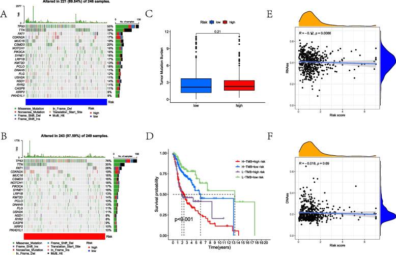 https://cdn.ncbi.nlm.nih.gov/pmc/blobs/5196/10265901/c4eea2d7fcd9/12957_2023_3067_Fig6_HTML.jpg