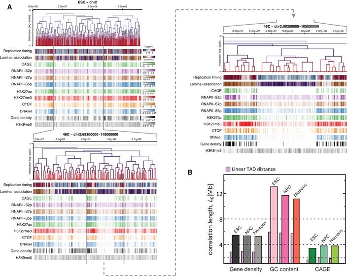 https://cdn.ncbi.nlm.nih.gov/pmc/blobs/5196/4704492/2efcdb03a279/MSB-11-852-g007.jpg