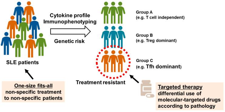 https://cdn.ncbi.nlm.nih.gov/pmc/blobs/5199/10295858/2292846aa5da/biomolecules-13-00960-g002.jpg
