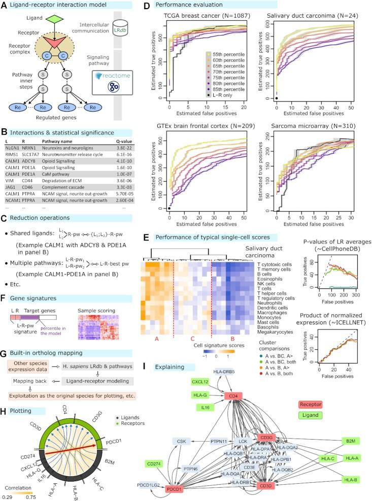 https://cdn.ncbi.nlm.nih.gov/pmc/blobs/51c5/10250239/863a0db43683/gkad352fig1.jpg