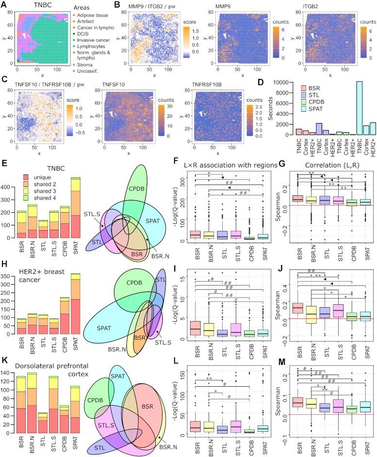 https://cdn.ncbi.nlm.nih.gov/pmc/blobs/51c5/10250239/864ef20c3b37/gkad352fig4.jpg