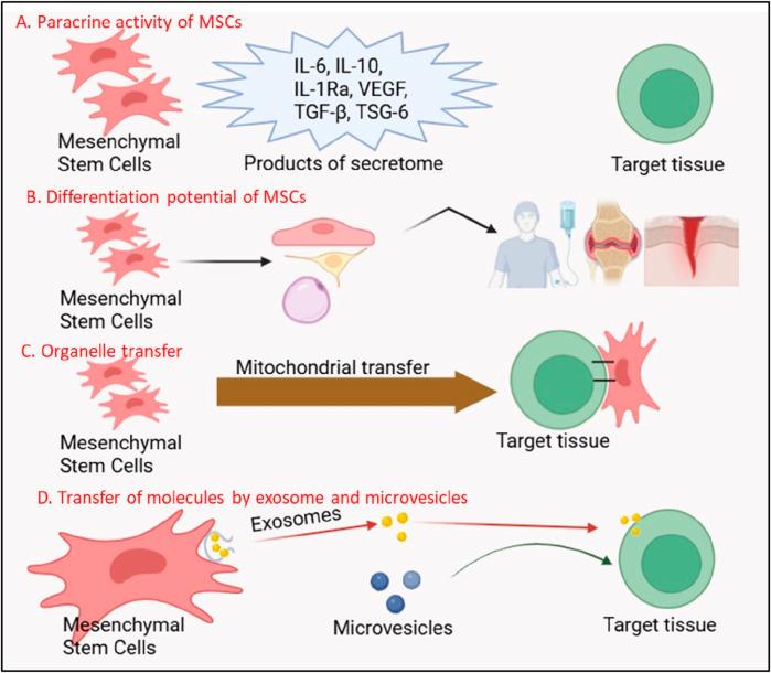 https://cdn.ncbi.nlm.nih.gov/pmc/blobs/51d5/12344367/bd0cb44149be/fbioe-13-1639439-g002.jpg