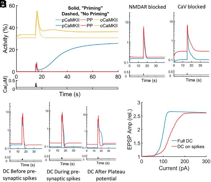 https://cdn.ncbi.nlm.nih.gov/pmc/blobs/51fc/10873618/515605a148ce/pnas.2311709121fig04.jpg
