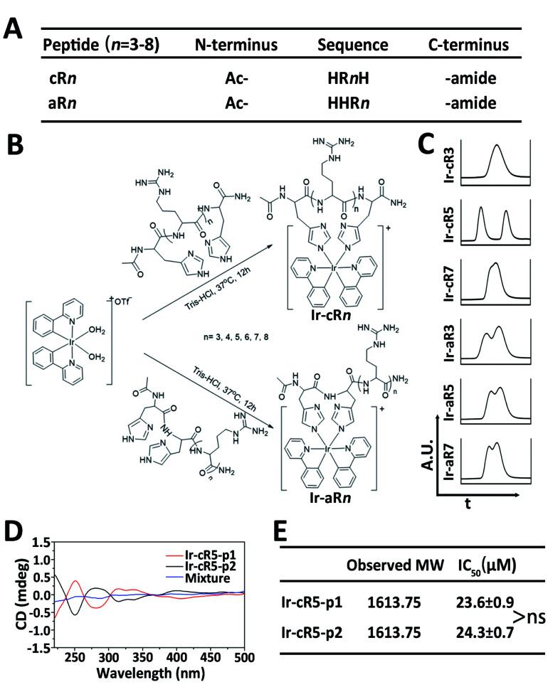 https://cdn.ncbi.nlm.nih.gov/pmc/blobs/5219/8161536/e80aaf0e2922/d0sc03975f-f1.jpg