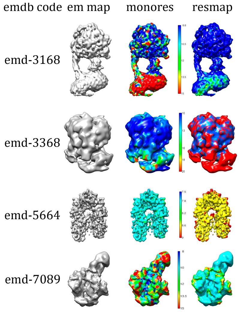 https://cdn.ncbi.nlm.nih.gov/pmc/blobs/5226/6471695/39757d23c05f/molecules-24-01181-g006.jpg