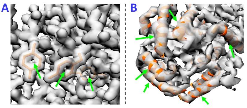https://cdn.ncbi.nlm.nih.gov/pmc/blobs/5226/6471695/a2bbeed00117/molecules-24-01181-g001.jpg
