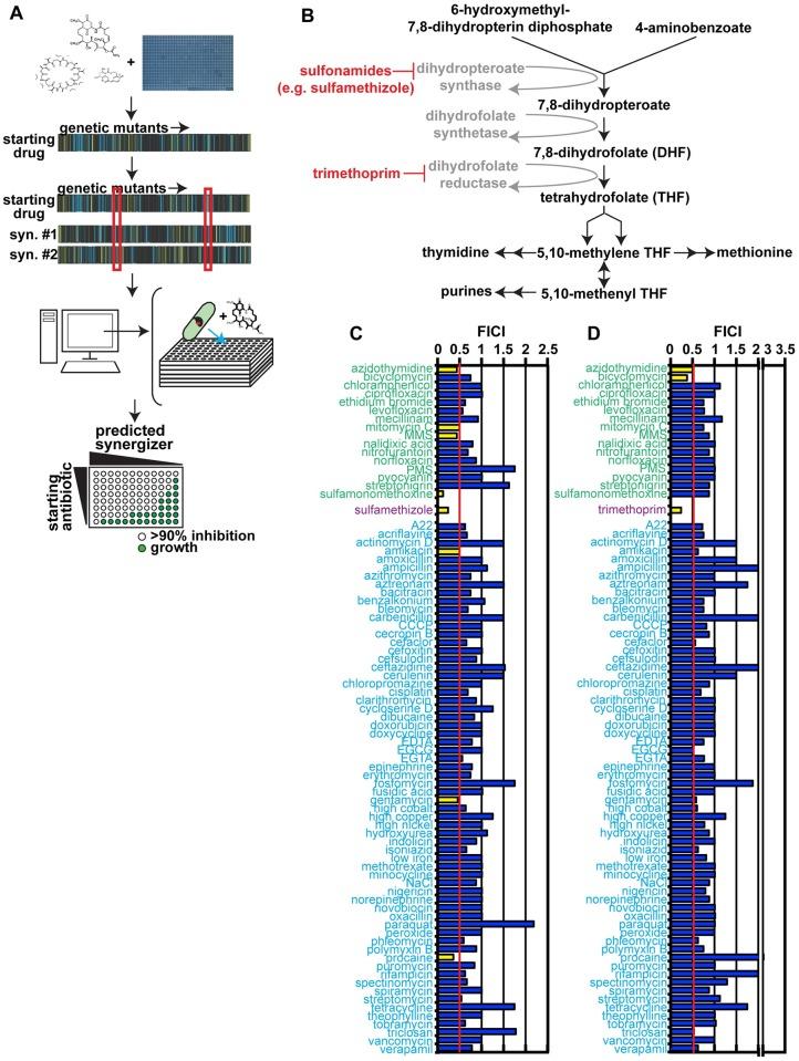 https://cdn.ncbi.nlm.nih.gov/pmc/blobs/5230/5478098/d795ca5e62a9/pbio.2001644.g001.jpg