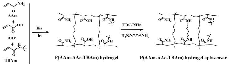 https://cdn.ncbi.nlm.nih.gov/pmc/blobs/5244/9406194/4b1824b82bee/biosensors-12-00662-sch001.jpg