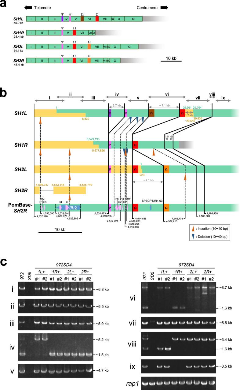 https://cdn.ncbi.nlm.nih.gov/pmc/blobs/5276/7840980/219ca868f821/41467_2020_20595_Fig5_HTML.jpg