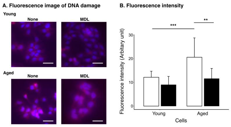 https://cdn.ncbi.nlm.nih.gov/pmc/blobs/5297/10488189/b2355746de29/ijms-24-13397-g004.jpg