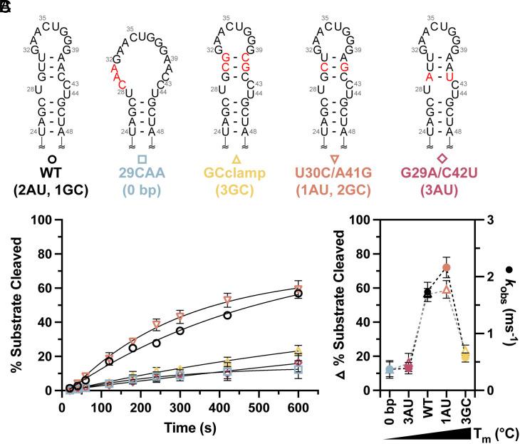 https://cdn.ncbi.nlm.nih.gov/pmc/blobs/52b8/10523476/08336767e6c3/pnas.2300527120fig05.jpg
