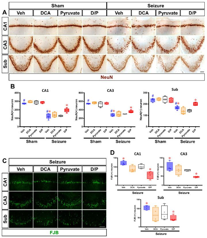 https://cdn.ncbi.nlm.nih.gov/pmc/blobs/52be/9698956/04a8350368fe/nutrients-14-04804-g006.jpg