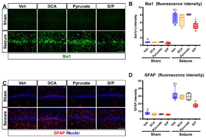 https://cdn.ncbi.nlm.nih.gov/pmc/blobs/52be/9698956/69ca4c9a260a/nutrients-14-04804-g005.jpg