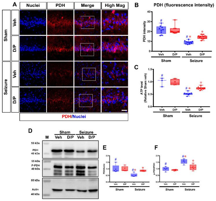 https://cdn.ncbi.nlm.nih.gov/pmc/blobs/52be/9698956/824ed63707d0/nutrients-14-04804-g003.jpg