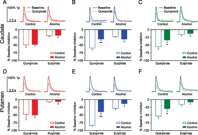 https://cdn.ncbi.nlm.nih.gov/pmc/blobs/52c4/8209056/dfc8b55a7785/41386_2020_938_Fig4_HTML.jpg