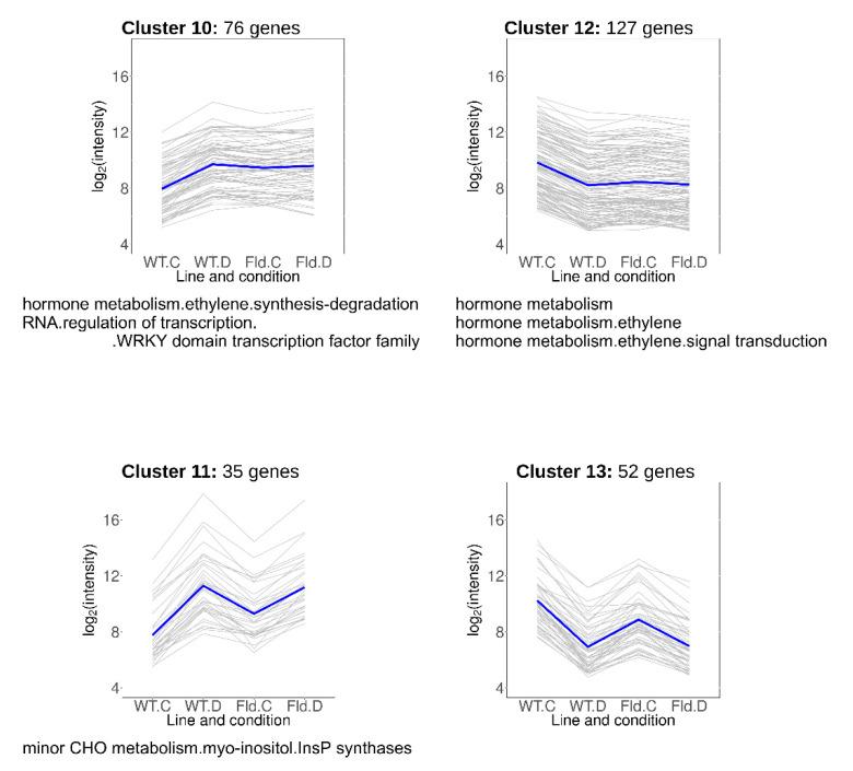https://cdn.ncbi.nlm.nih.gov/pmc/blobs/52ca/7582712/23d1338877d1/ijms-21-07199-g007.jpg