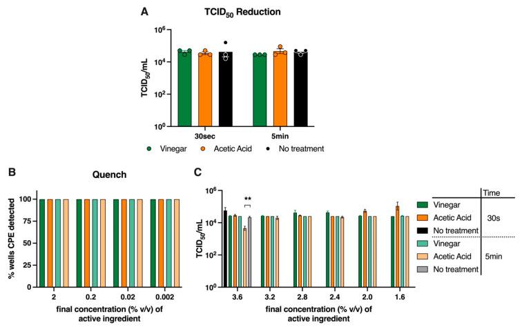 https://cdn.ncbi.nlm.nih.gov/pmc/blobs/52cf/9026400/cce17928a9d5/viruses-14-00715-g003.jpg