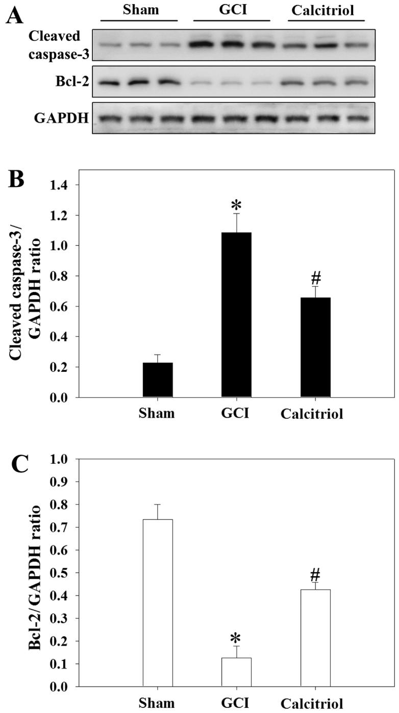 https://cdn.ncbi.nlm.nih.gov/pmc/blobs/52d8/5746295/4b5d5f3f97d2/IJMM-41-01-0364-g06.jpg